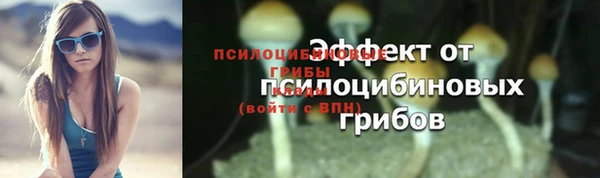 шишки Переславль-Залесский