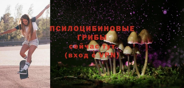 экстази Пересвет