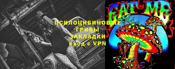 не бодяженный Абаза