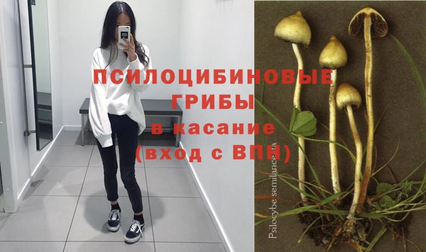дживик Абинск